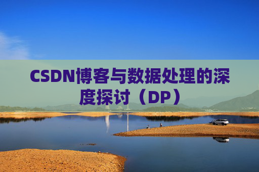 CSDN博客与数据处理的深度探讨（DP）